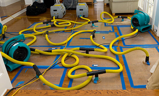 Professional Sewage Cleanup technician working in Elk Mound, WI